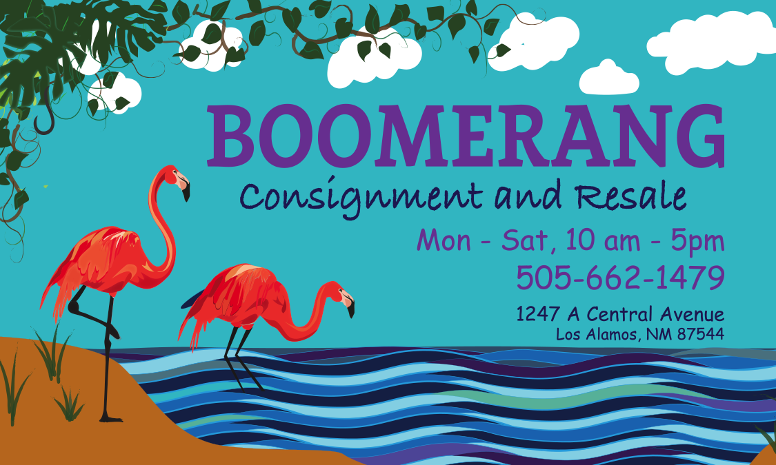 Boomerang Consignment and Gaia Gifts
